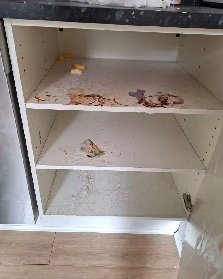 Kjøkkenskap før flyttevask
